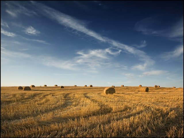 00010 nature 24as6.jpg