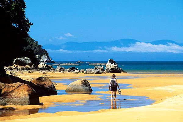 00017 abel-tasman-np-new-zealand.jpg