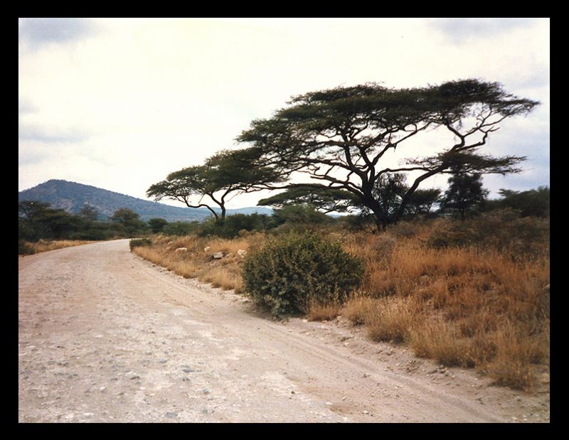 0003 africa_1_by_juraana.jpg