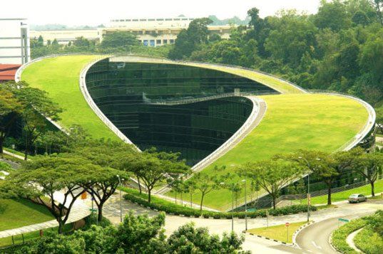 0005 Amazing Green Roof Art School in Singapore.jpg