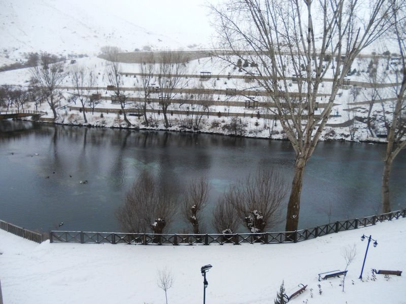 0021-1.jpg