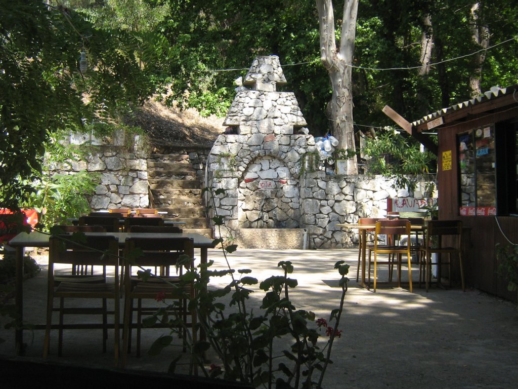 010.JPG
