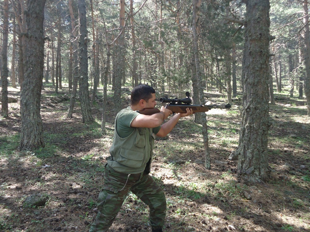 010.JPG