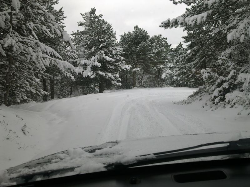01022011169.jpg