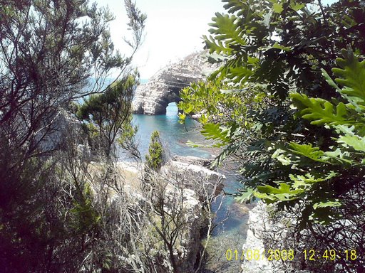 01___06___2008__Sardala_015 k.jpg