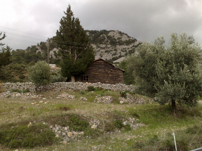 020120102147.jpg