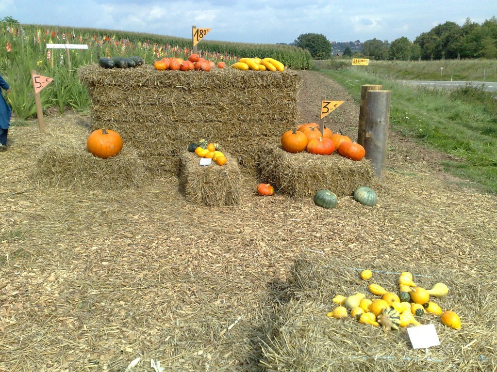 020920112404.jpg