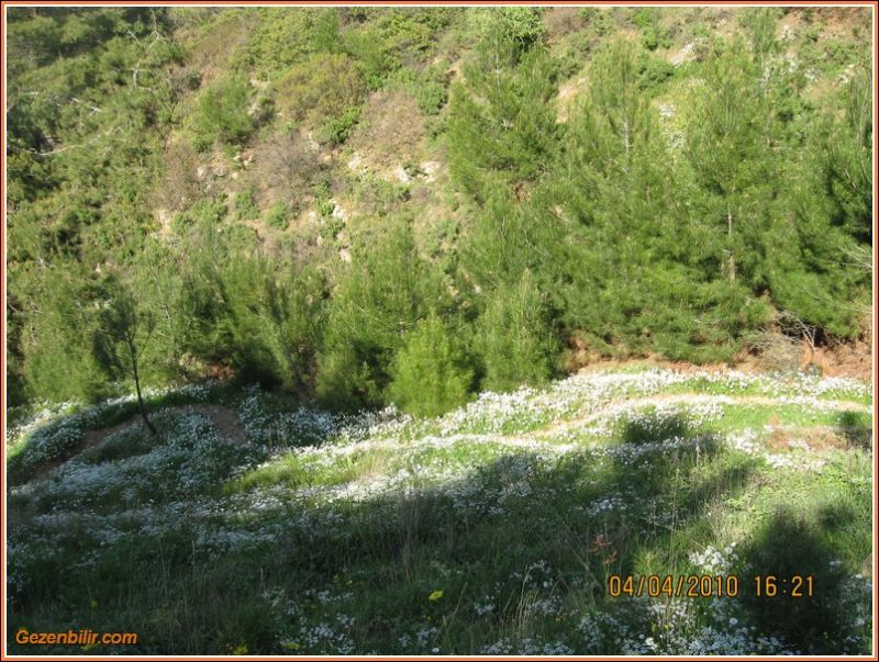 03 Nisan - Behzat Zirve  039.jpg