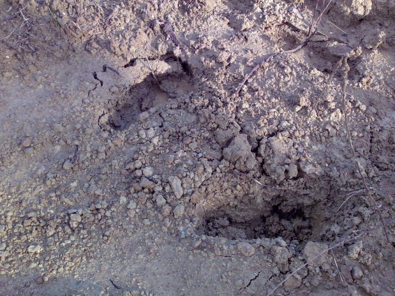03012010116.jpg
