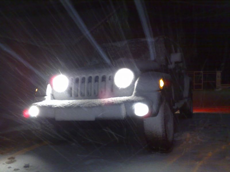 03012010775.jpg