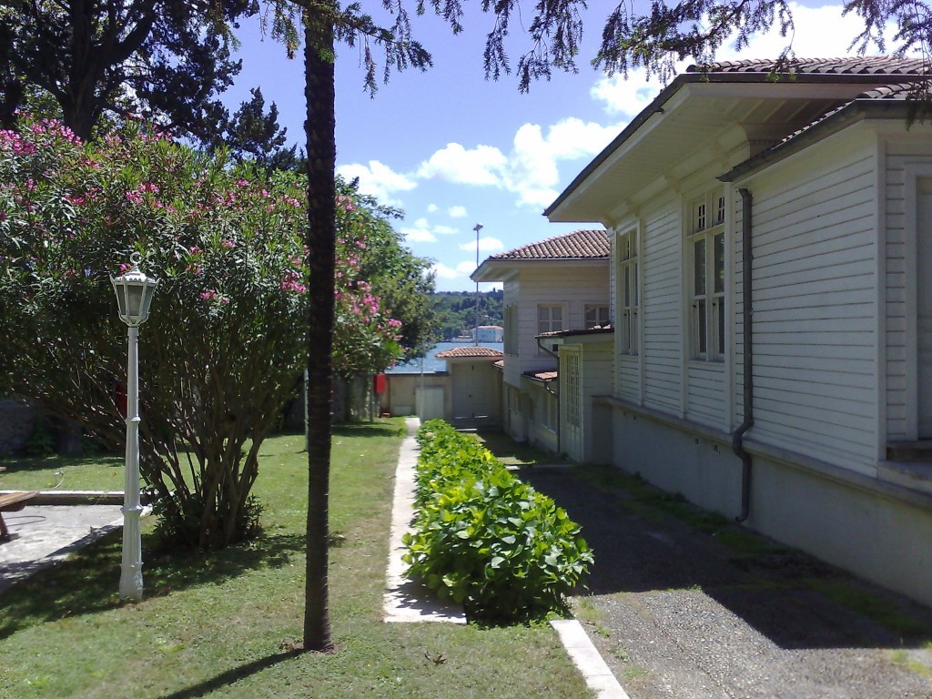 03062008395.jpg