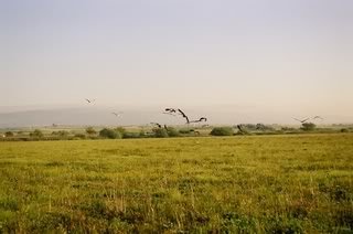 03090026.jpg