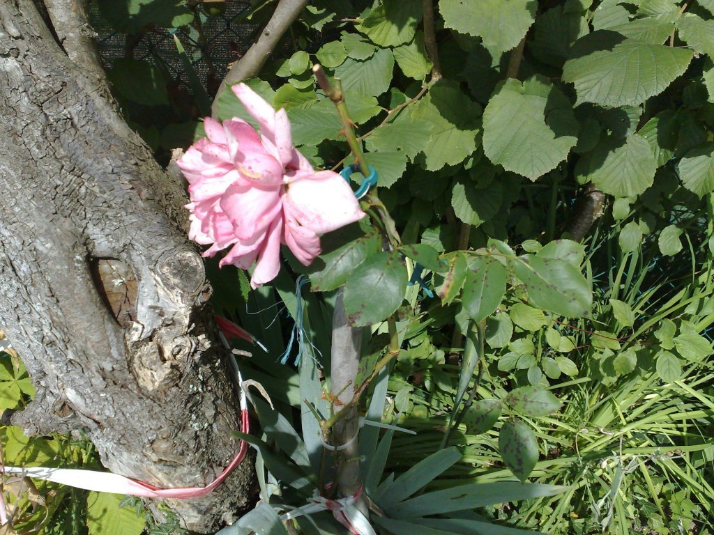 030920112511.jpg