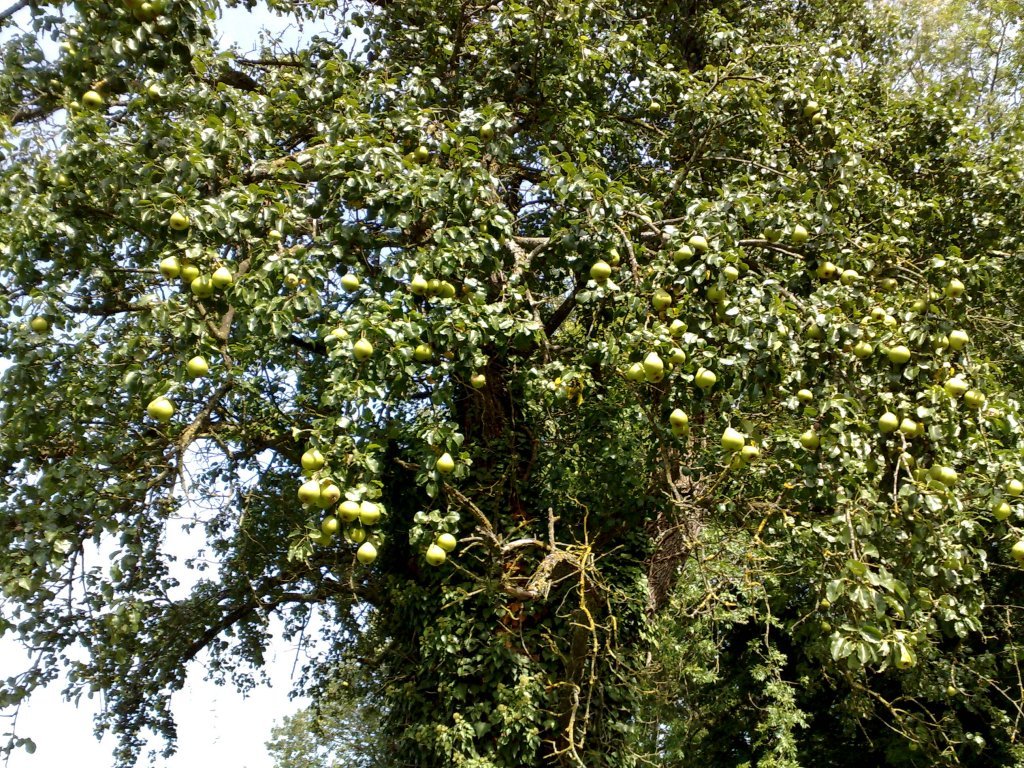 030920112526.jpg