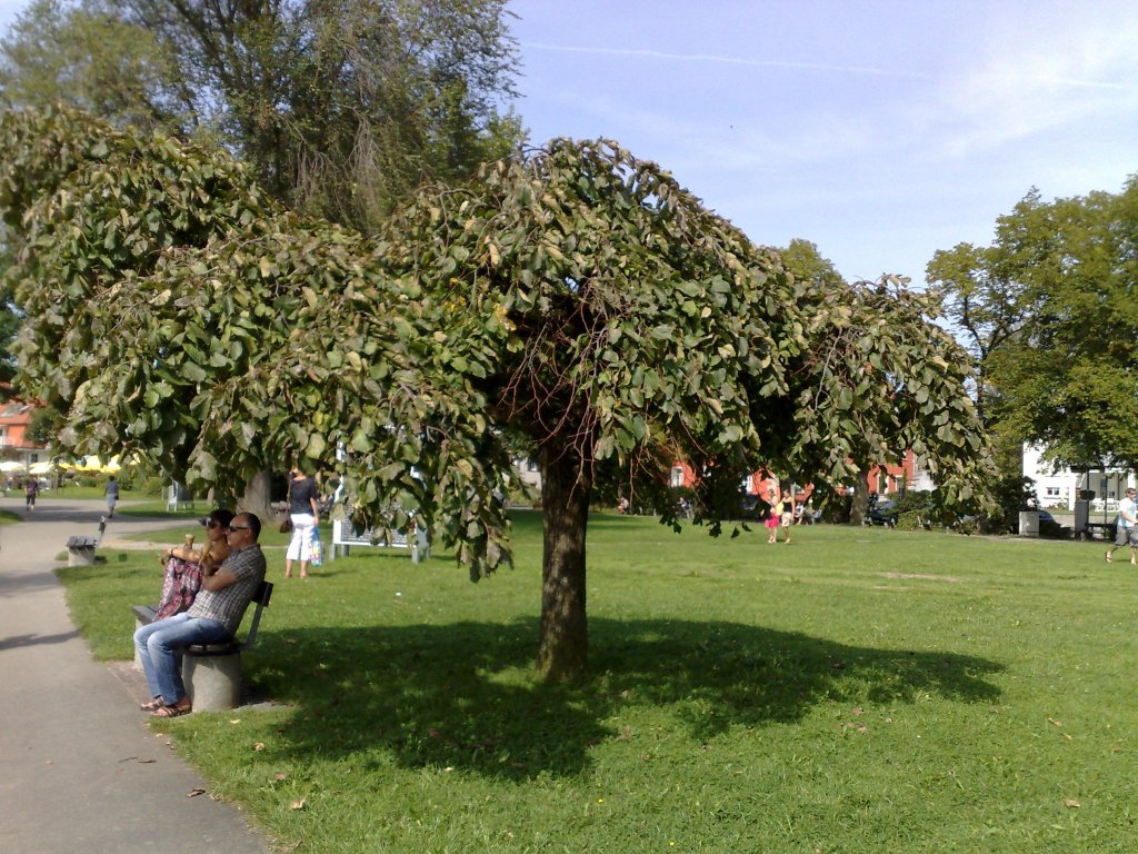 030920112546.jpg