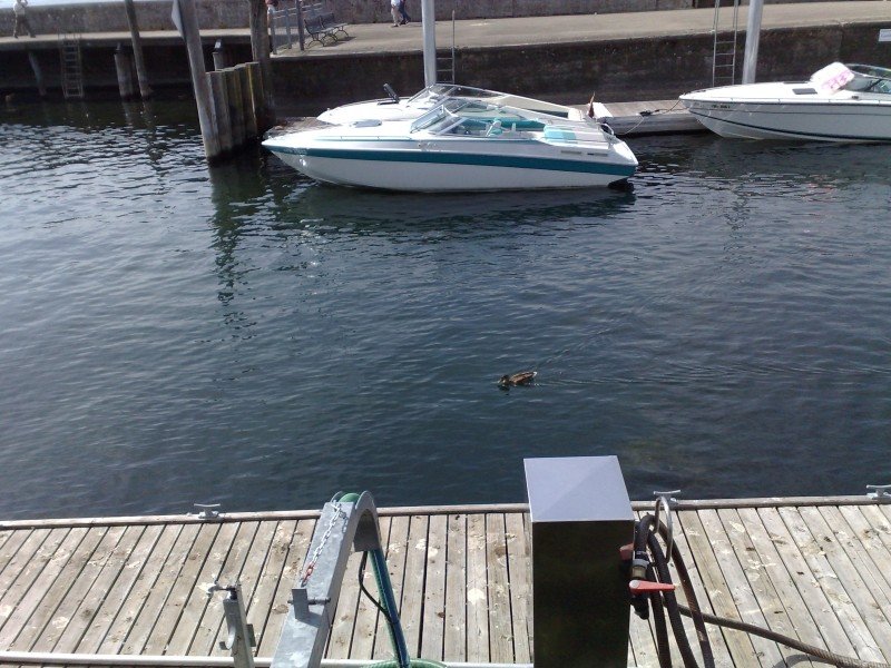 030920112577.jpg