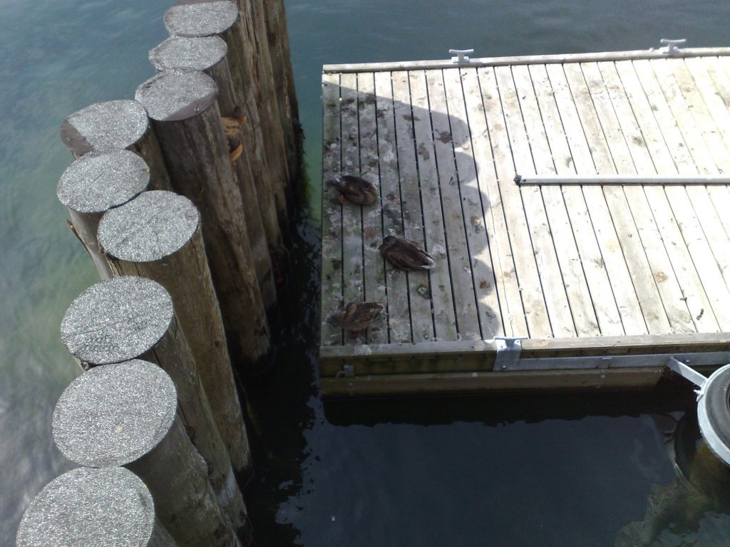030920112580.jpg