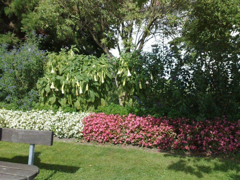 030920112599.jpg