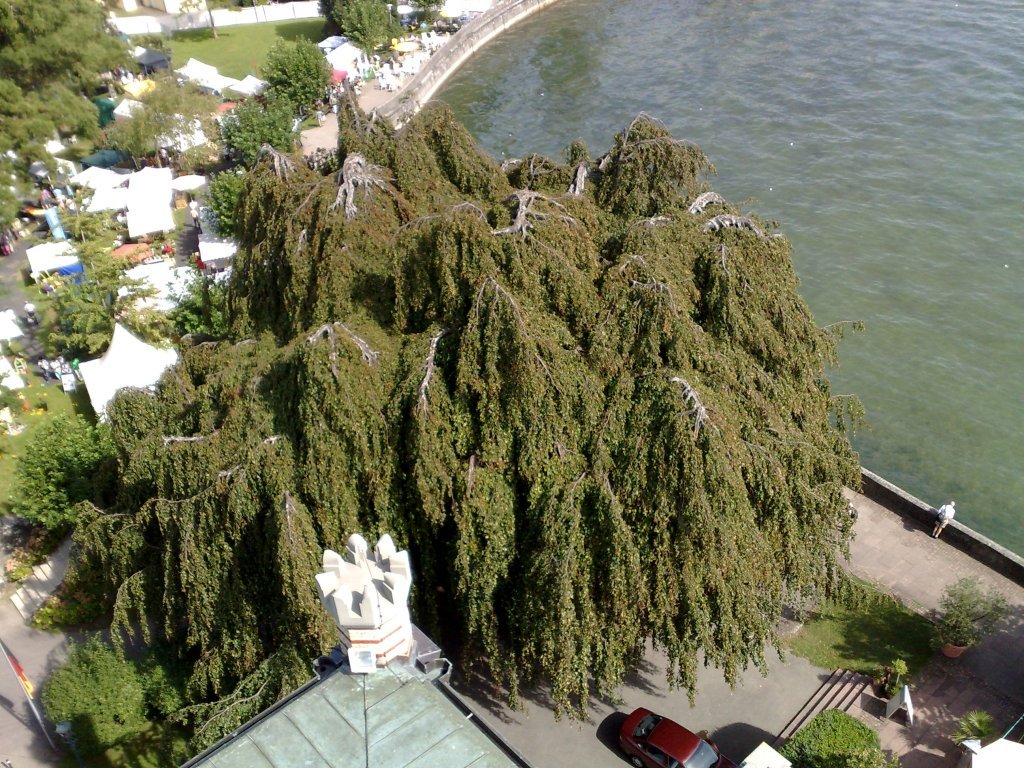 030920112628.jpg