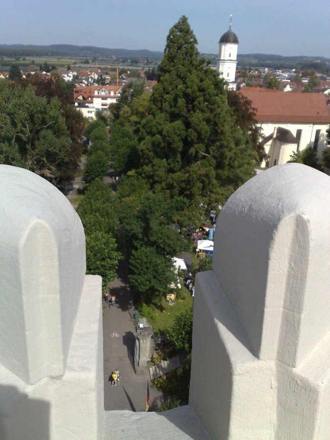 030920112629.jpg