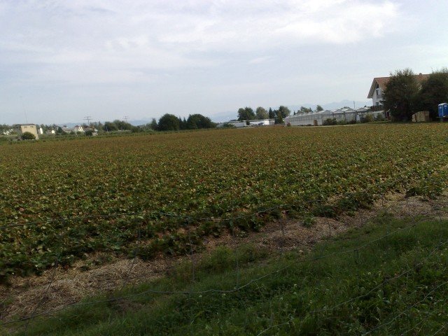 030920112668.jpg