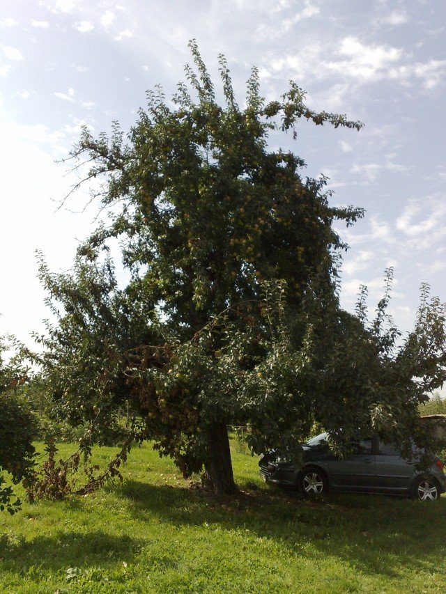 030920112670.jpg