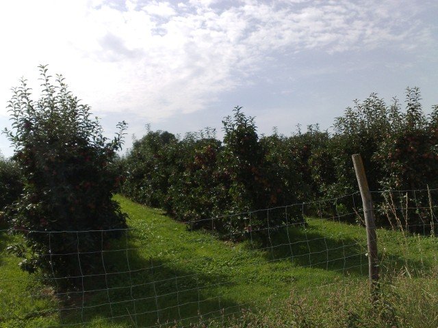030920112672.jpg