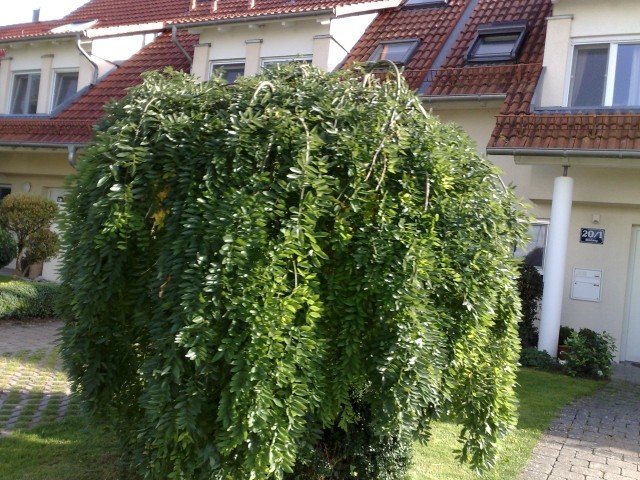 030920112682.jpg