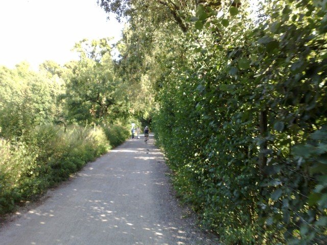 030920112685.jpg