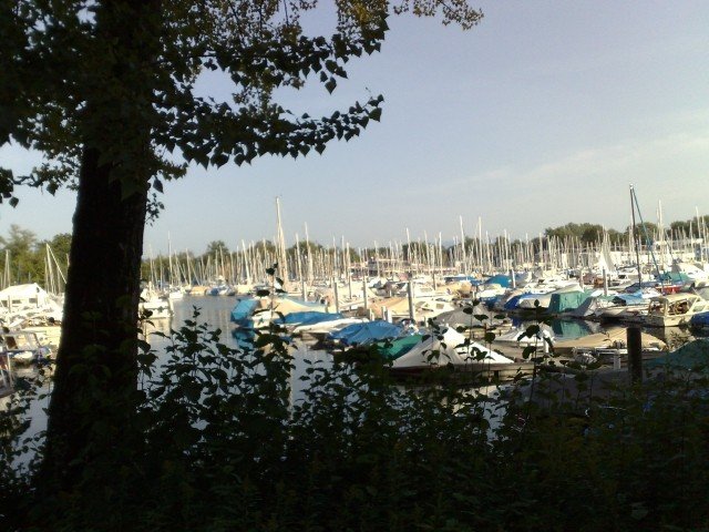 030920112687.jpg