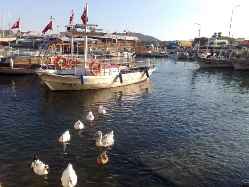031020101334.jpg