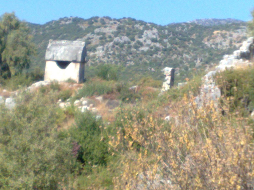 03102012173.jpg