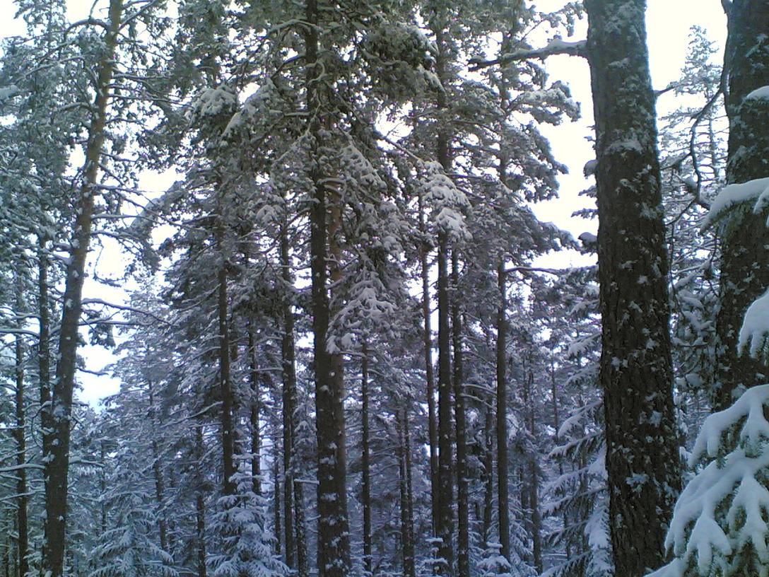 03152009(005).jpg