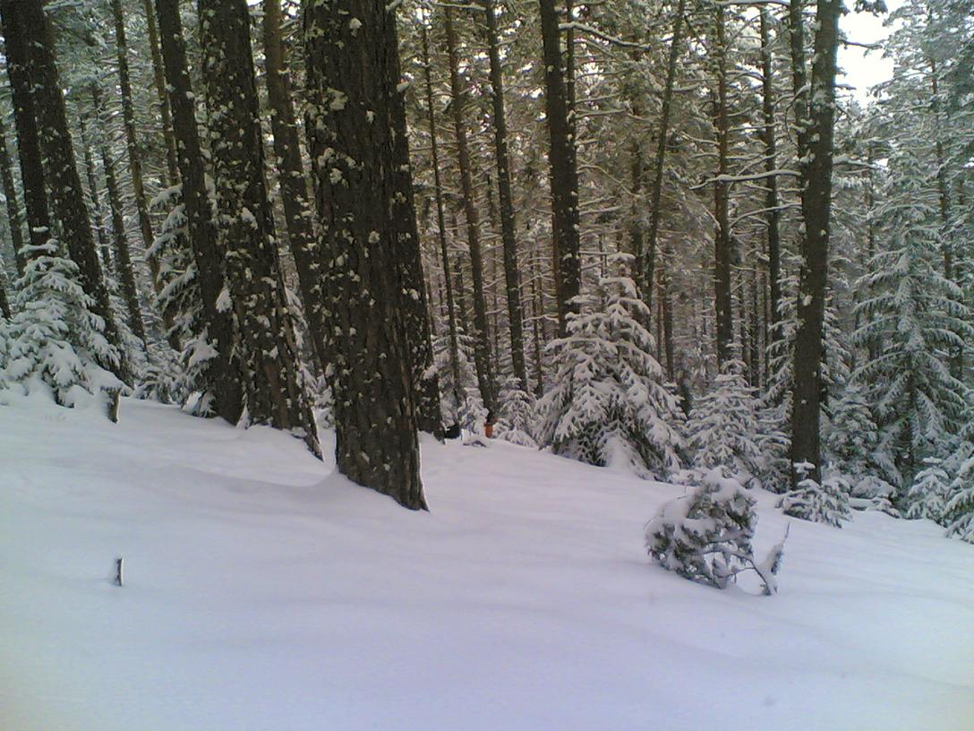 03152009(006).jpg