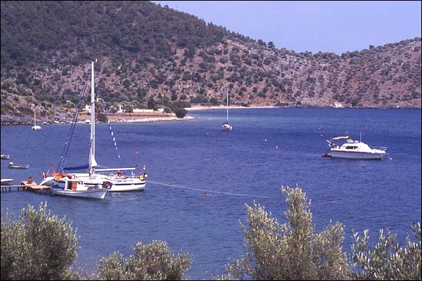 04.jpg