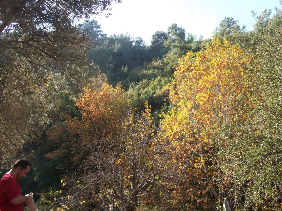 04 KasÃƒÂƒÃ‚Â„ÃƒÂ‚Ã‚Â±m 2012 - 001.jpg