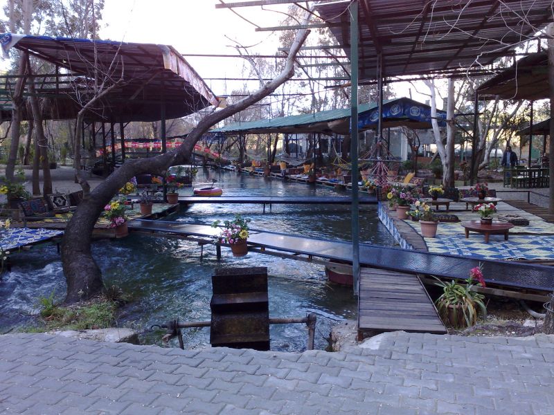 040120102684.jpg