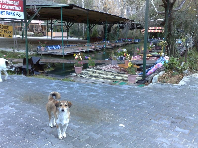 040120102693.jpg