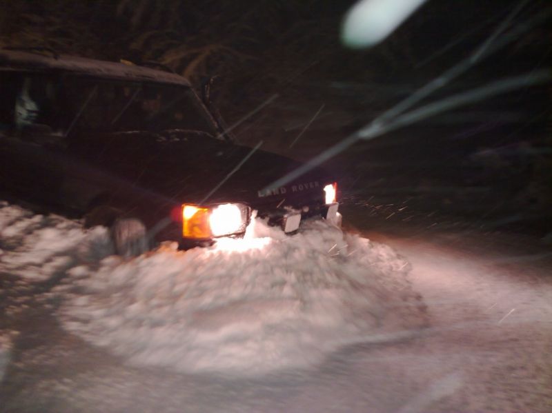 04022010518 (1077 x 807).jpg