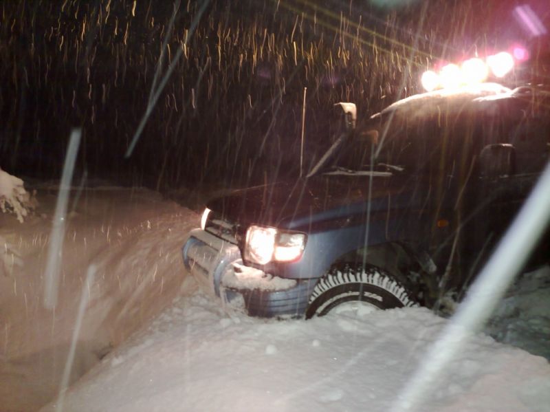 04022010534 (1077 x 807).jpg