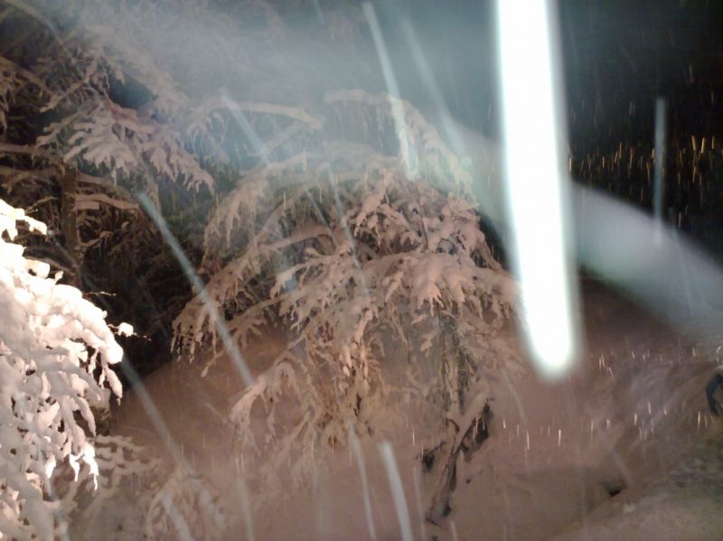 04022010535 (1077 x 807).jpg