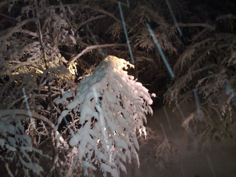 04022010537 (1077 x 807).jpg