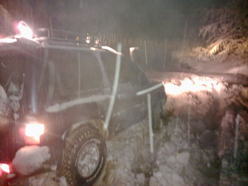 04022010546 (1632 x 1224).jpg