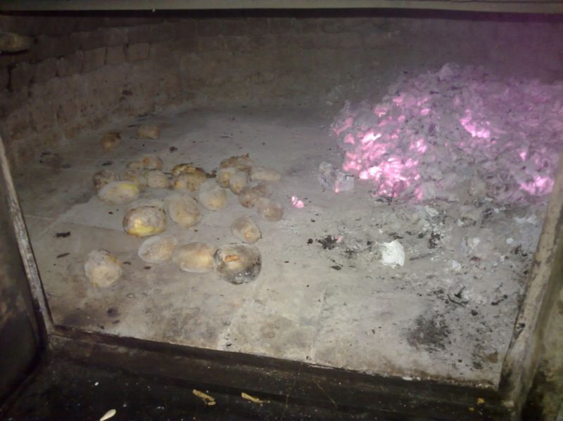 04022010565 (1077 x 807).jpg