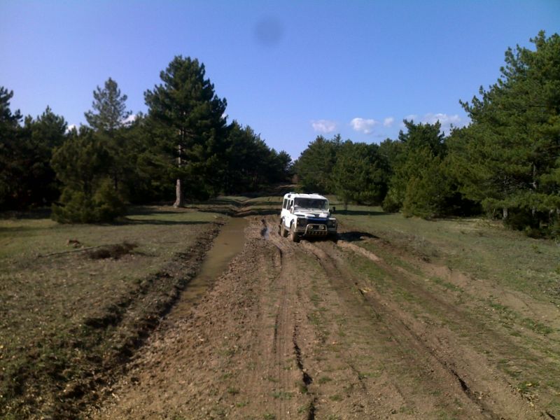 04042010420.jpg