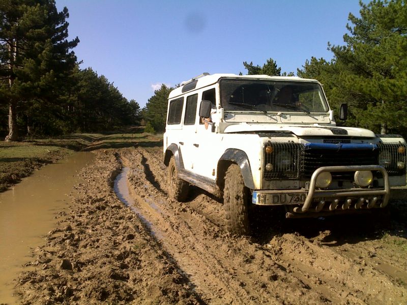 04042010422.jpg