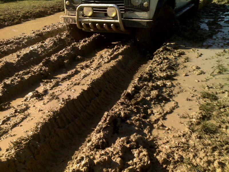 04042010426.jpg