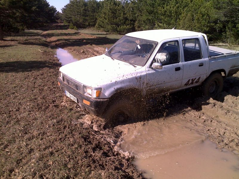 04042010428.jpg