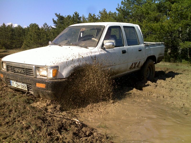 04042010429.jpg