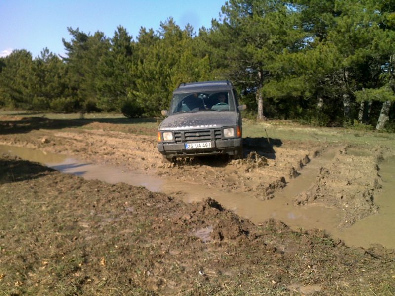 04042010431.jpg